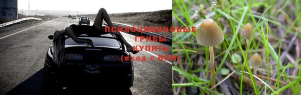 mdpv Богданович