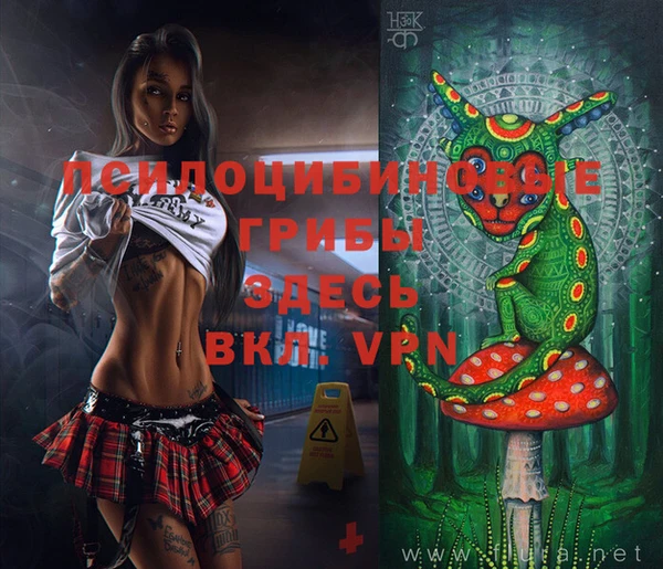 apvp Пролетарск