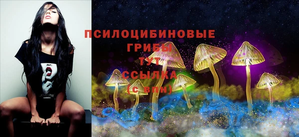 mdpv Богданович